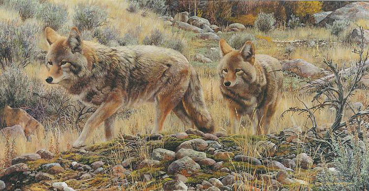 (image for) Handmade Oil painting for home canvas, oil painting framed canvas for living room Carl Brenders Paintings Two Amigos-Coyote